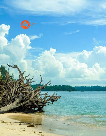 Best of Andaman Tours with Baratang