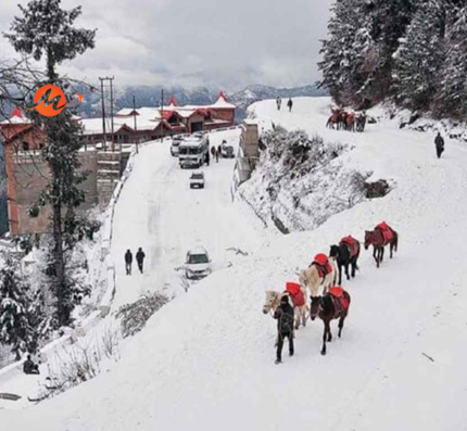 Golden Triangle With Shimla