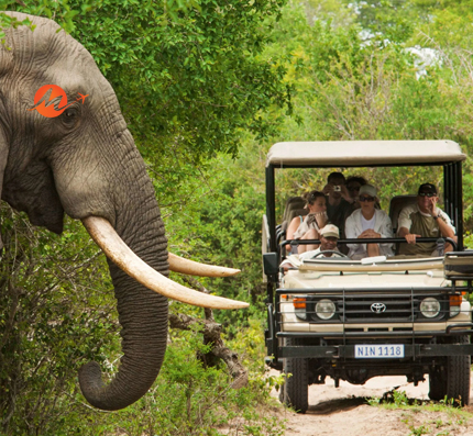 South India Wildlife Tours